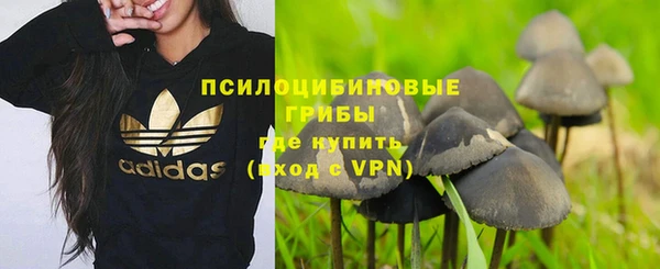 спиды Вязники