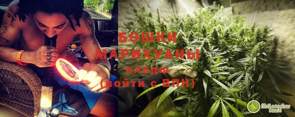 кокс Вяземский