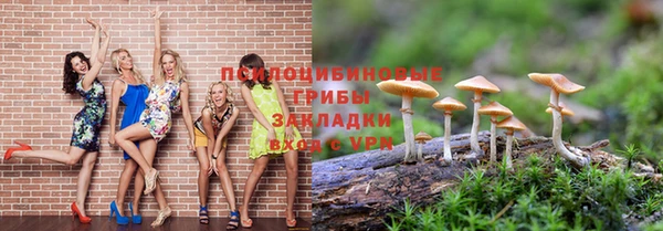 кокс Вяземский