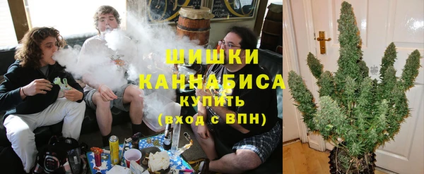 кокс Вяземский