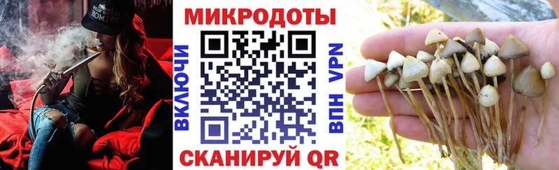 KRAKEN маркетплейс  Дигора  Галлюциногенные грибы GOLDEN TEACHER 